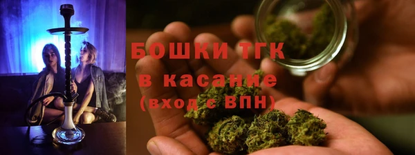 apvp Алзамай