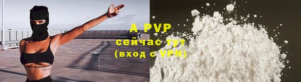 apvp Алзамай