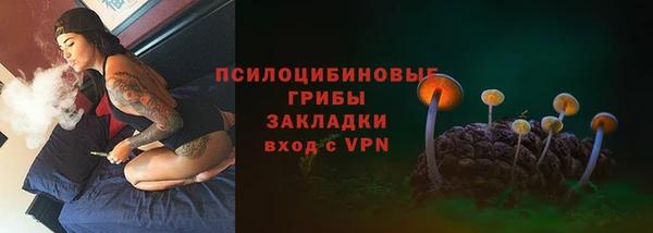 apvp Алзамай