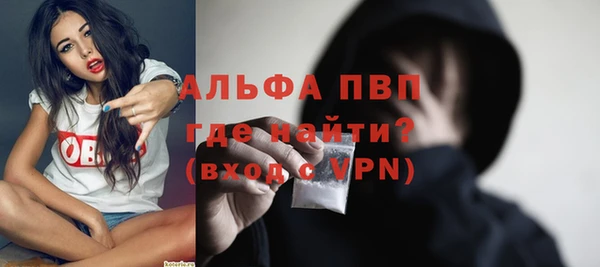 apvp Алзамай