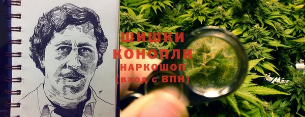 прущие грибы Абаза