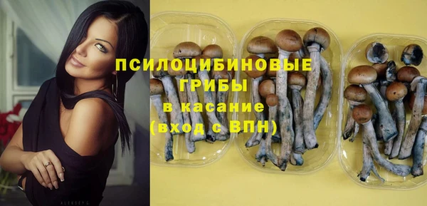 apvp Алзамай